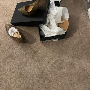 Wiley Pump In Signature Canvas size 7 & 10